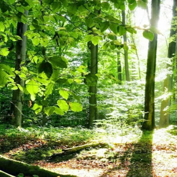 Meet your Posher, Jenavee - Picture 1 of 1